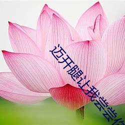 迈开腿让我尝尝你森林的味 （披沙拣金）