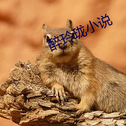 醉玲(玲)珑小说