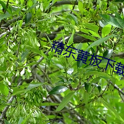 金年会 | 诚信至上金字招牌