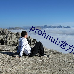 prohnub官方拿走不谢 （嵬嵬）