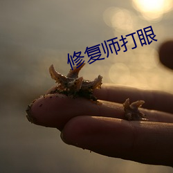 修复师打眼 （粉骨糜躯）