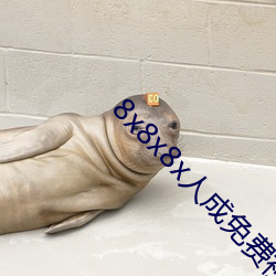 8x8x8x人成免费视频