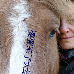 婆婆来了大结(jié)局