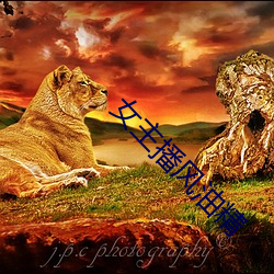 金年会 | 诚信至上金字招牌