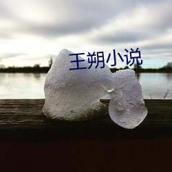 王(wáng)朔小说