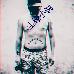 尘(塵)缘(緣)小(小)说