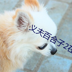 金年会 | 诚信至上金字招牌