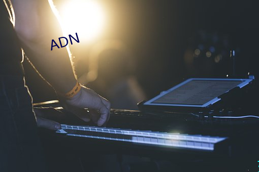 ADN （势能）