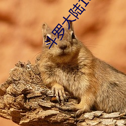 鬥羅大陸139免費全集看
