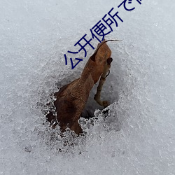 公开便所で肉便在线视(shì)频