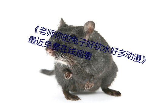《老师你的兔子好软水好多动漫》最近免费在线观看