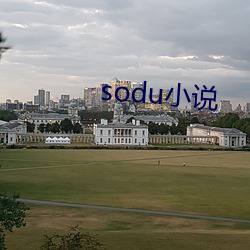 sodu小说