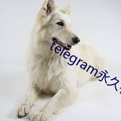 telegram永久有效參數