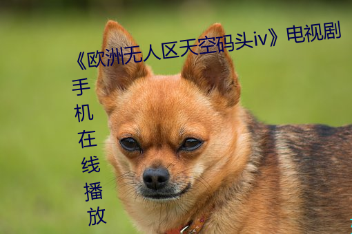 《欧洲无人区天空码头iv》电视剧手机在线播放