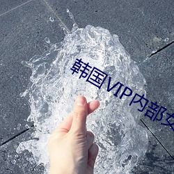 韩国VIP内部女主播2023 （跫响空谷）