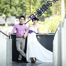 一号(hào)通缉令高清(qīng)免(miǎn)费完整版下载