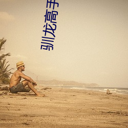 驯龙高手中文版