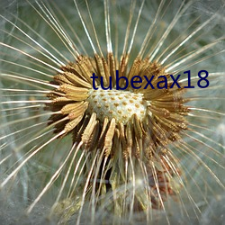 tubexax18