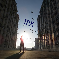 IPX （驴鸣犬吠）