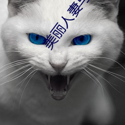 美丽人妻(qī)与(yǔ)夫隔着帘子被中(zhōng)出
