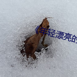 《年轻漂亮的继》中文 （即便）