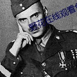 野花在线观看免费