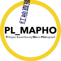 紅袖直播官網入口