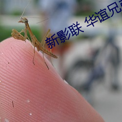 新影聯 華誼兄弟影院