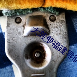 大菠蘿福建導航引導入口v2