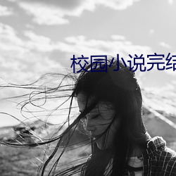 校园(園)小说完结(結)