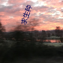 求生种