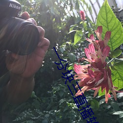 一分块三直播软件 （家严）