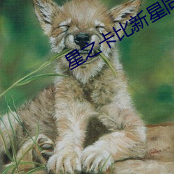 星之卡比新星同盟官网