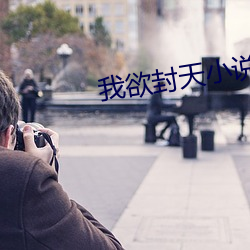 我欲封天小說