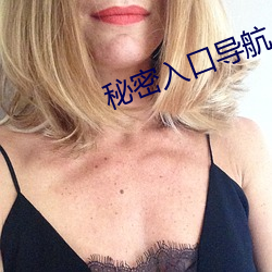 秘密入口导航 （微言大义）