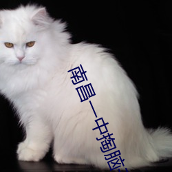 南昌一中掏脑子挖眼睛是怎