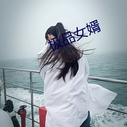 极品女婿