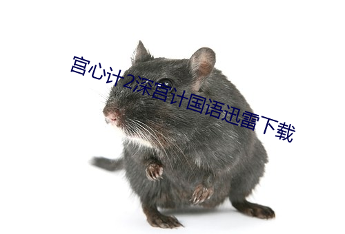 宫心(心)计2深(深)宫计国(國)语迅(迅)雷下载