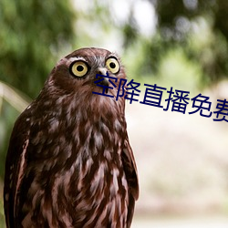 空降直播免费版