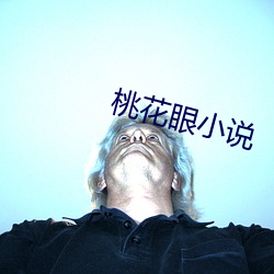 桃花眼小說