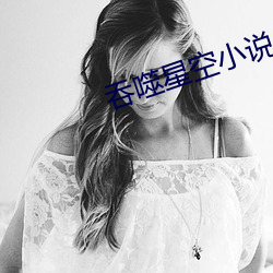 吞噬星空小说(shuō)