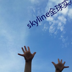 skyline全球实况摄像头