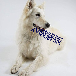 xv破解版