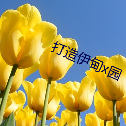 打造伊甸x园