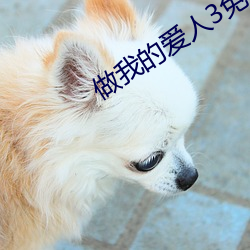 做我的爱人3免费看
