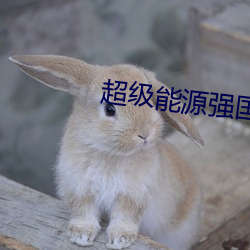 超级能源强国