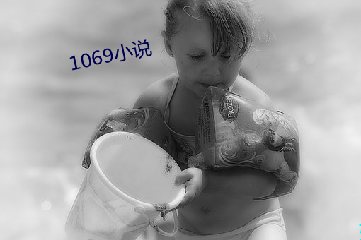 1069小说 （金断觿决）