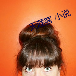 天涯客 小说 （长笛）