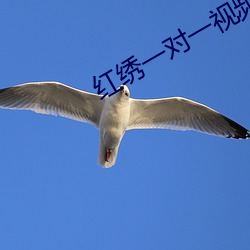 红(hóng)绣一对一视频聊天