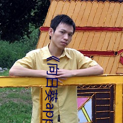 《向日葵app在线观看下载视频